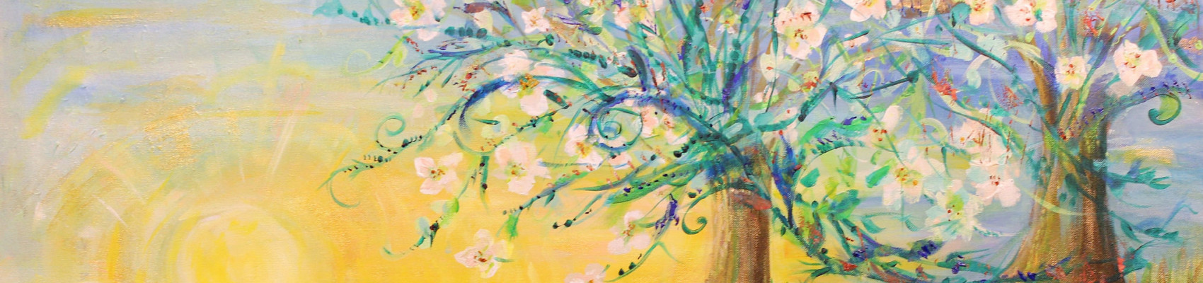 NASAA Banner Image