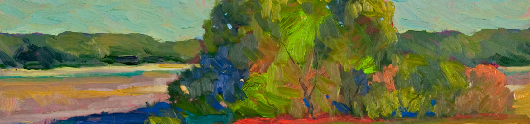 NASAA Banner Image
