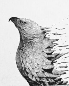 South Dakota: Congressional Art Competition